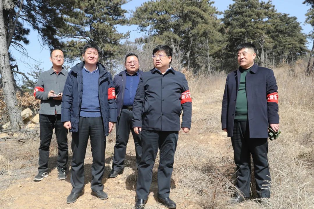 赵永进在督查护林防火时强调以风为令变被动防守为主动出击