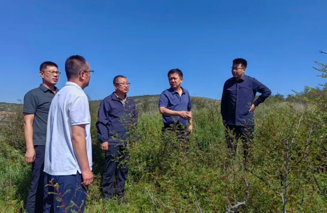 截图_选择区域_20260907081133.png